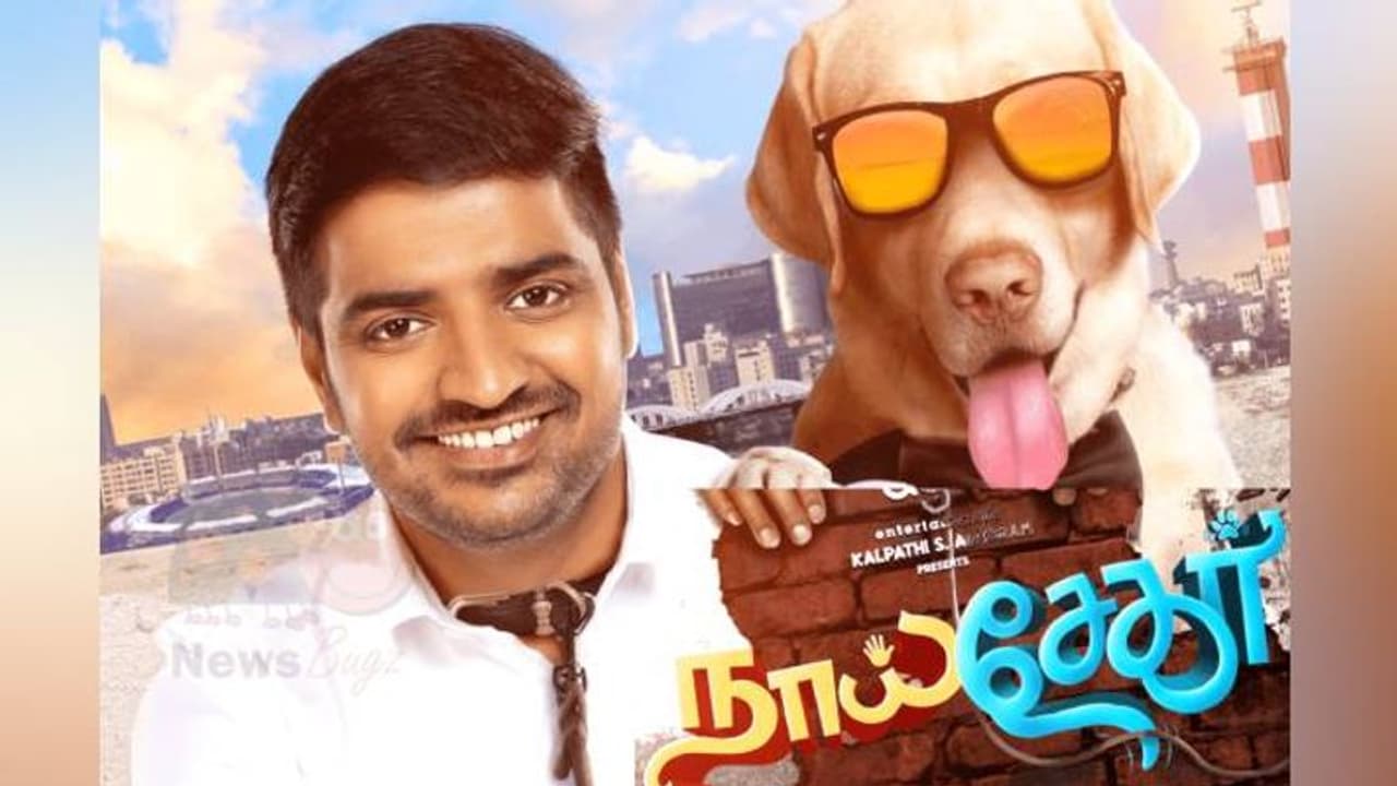 naai sekar release date : வலிமை இடத்தை நிரப்ப வரிசை கட்டும் படங்கள்..நாய் சேகரும் அதே நாளில் தான் ரிலீஸாம்..