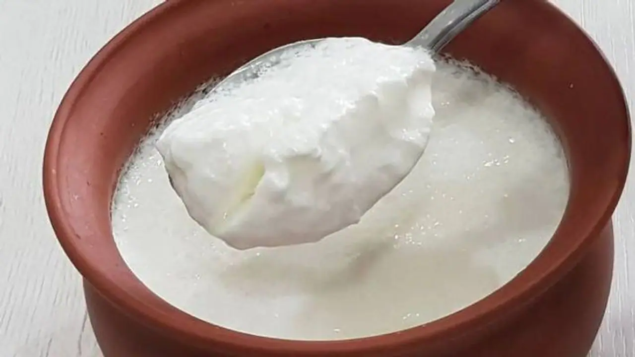 দোল খেলার পর মুখে লাগান দই এর ফেসপ্যাক, রঙ উঠে যাবে এবং উজ্জ্বল হবে ত্বকও দোল খেলার পর মুখে লাগান দই এর ফেসপ্যাক, রঙ উঠে যাবে এবং উজ্জ্বল হবে ত্বকও