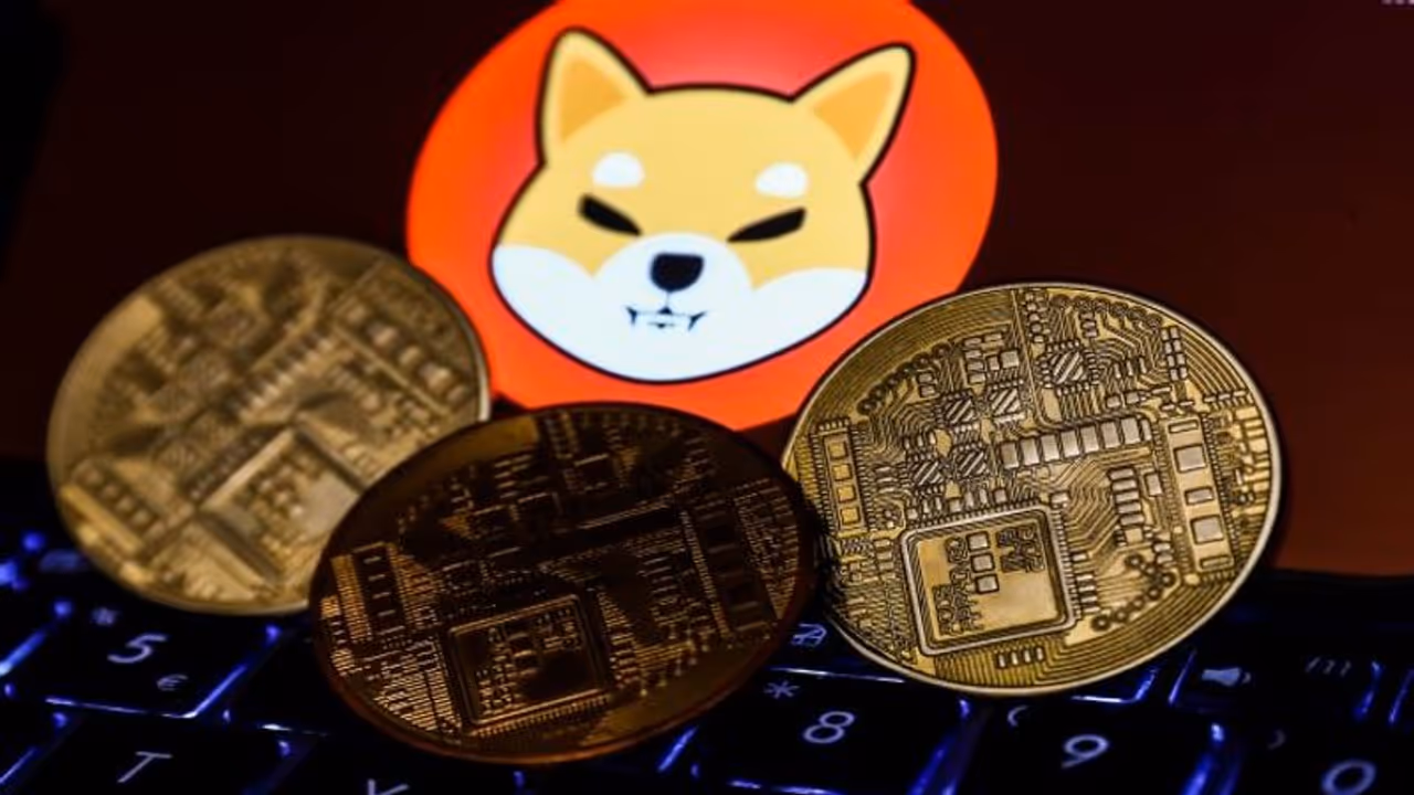 Cryptocurrency: The day when meme coin Alien Shiba Inu jumped 500%
