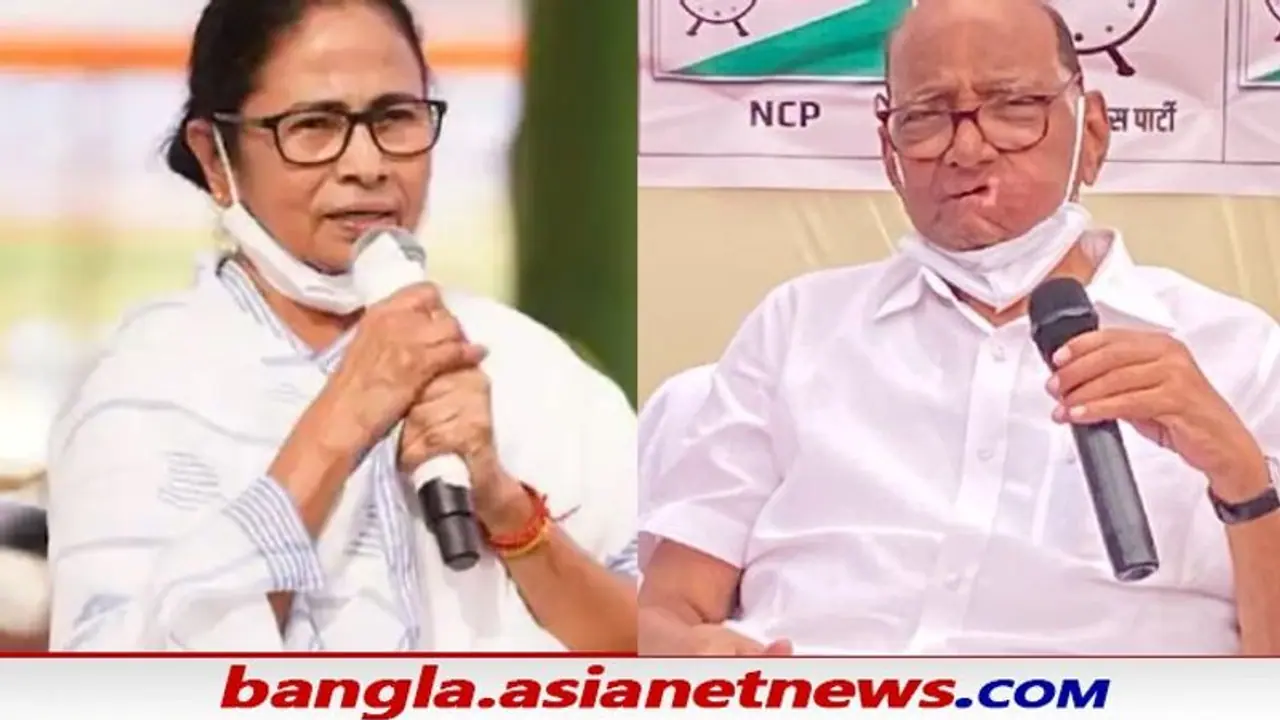 নবাব মালিক ইস্যুতে মমতাকে ফোন পাওয়ারের, জানতে চাইলেন 'কী করতে হবে'