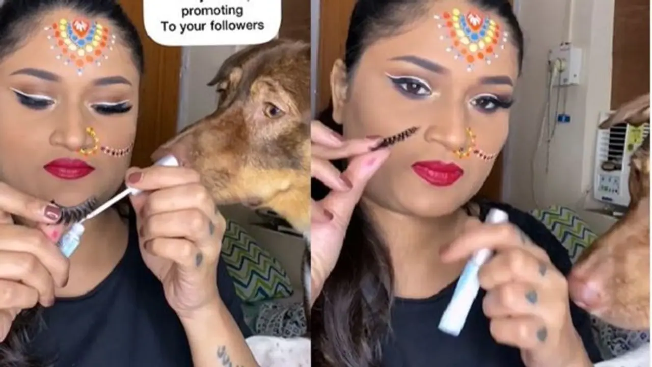 Cutest pet Dog:ಮೇಕ್ಅಪ್ ಆರ್ಟಿಸ್ಟ್ ಆದ ಕ್ಯೂಟ್ ಡಾಗ್, ವೈರಲ್ ವಿಡಿಯೋ ! Cutest pet Dog:ಮೇಕ್ಅಪ್ ಆರ್ಟಿಸ್ಟ್ ಆದ ಕ್ಯೂಟ್ ಡಾಗ್, ವೈರಲ್ ವಿಡಿಯೋ !