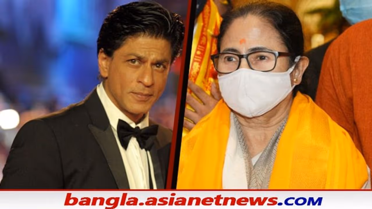 Mamata in Mumbai: মুম্বইয়ে পৌঁছেই শাহরুখের পাশে দাঁড়ালেন মমতা একহাত নিলেন বিজেপিকে Mamata in Mumbai: মুম্বইয়ে পৌঁছেই শাহরুখের পাশে দাঁড়ালেন মমতা একহাত নিলেন বিজেপিকে