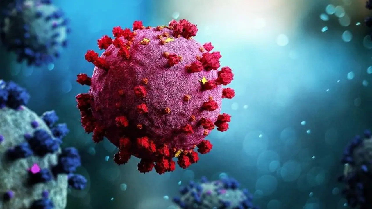 Omicron : ഒമിക്രോൺ, വിമാനത്താവളങ്ങളിലെ സ്ഥിതി വിലയിരുത്തും, സംസ്ഥാനങ്ങളുടെ ഉന്നതതല യോഗം വിളിച്ച് കേന്ദ്രം Omicron : ഒമിക്രോൺ, വിമാനത്താവളങ്ങളിലെ സ്ഥിതി വിലയിരുത്തും, സംസ്ഥാനങ്ങളുടെ ഉന്നതതല യോഗം വിളിച്ച് കേന്ദ്രം