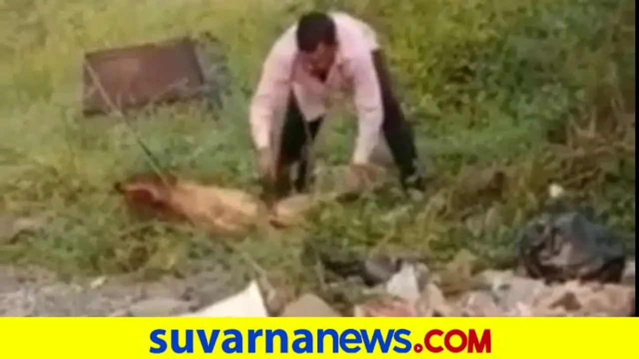 Animal Cruelty: ಮಗನನ್ನು ಕಚ್ಚಿದ ನಾಯಿಗೆ ಇದೆಂತಹಾ ಘೋರ ಶಿಕ್ಷೆ, ಕಾಲು ಕತ್ತರಿಸಿ ಕೊಂದೇ ಹಾಕಿದ! Animal Cruelty: ಮಗನನ್ನು ಕಚ್ಚಿದ ನಾಯಿಗೆ ಇದೆಂತಹಾ ಘೋರ ಶಿಕ್ಷೆ, ಕಾಲು ಕತ್ತರಿಸಿ ಕೊಂದೇ ಹಾಕಿದ!