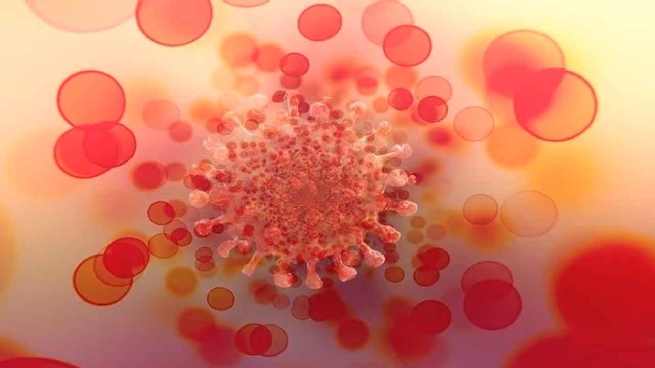 Omicron: ওমিক্রনের শক্তি থেকে টিকার কার্যকারিতা, করোনার নতুন রূপ সম্বন্ধে জানুন সবকিছু