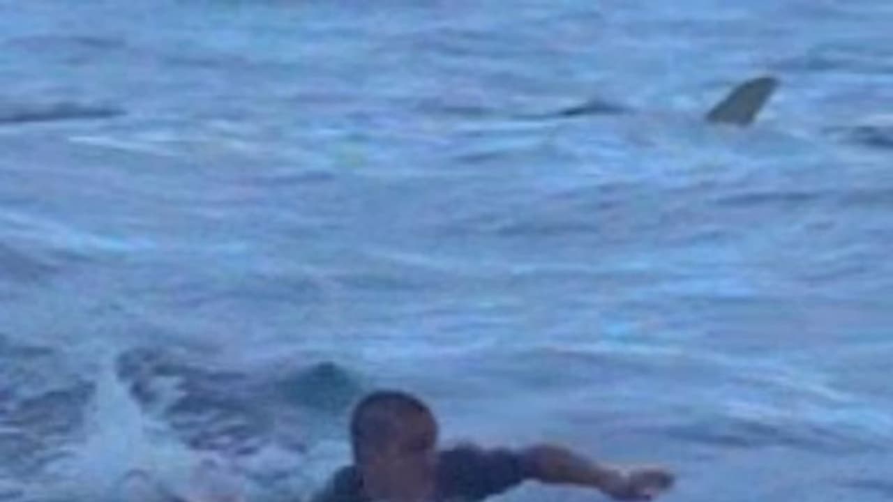 খড়কুটোর মত ফুটবল আঁকড়ে ১৮ ঘণ্টা মাঝ সমুদ্রে লড়াই, জানুন তারপর কী হল খড়কুটোর মত ফুটবল আঁকড়ে ১৮ ঘণ্টা মাঝ সমুদ্রে লড়াই, জানুন তারপর কী হল