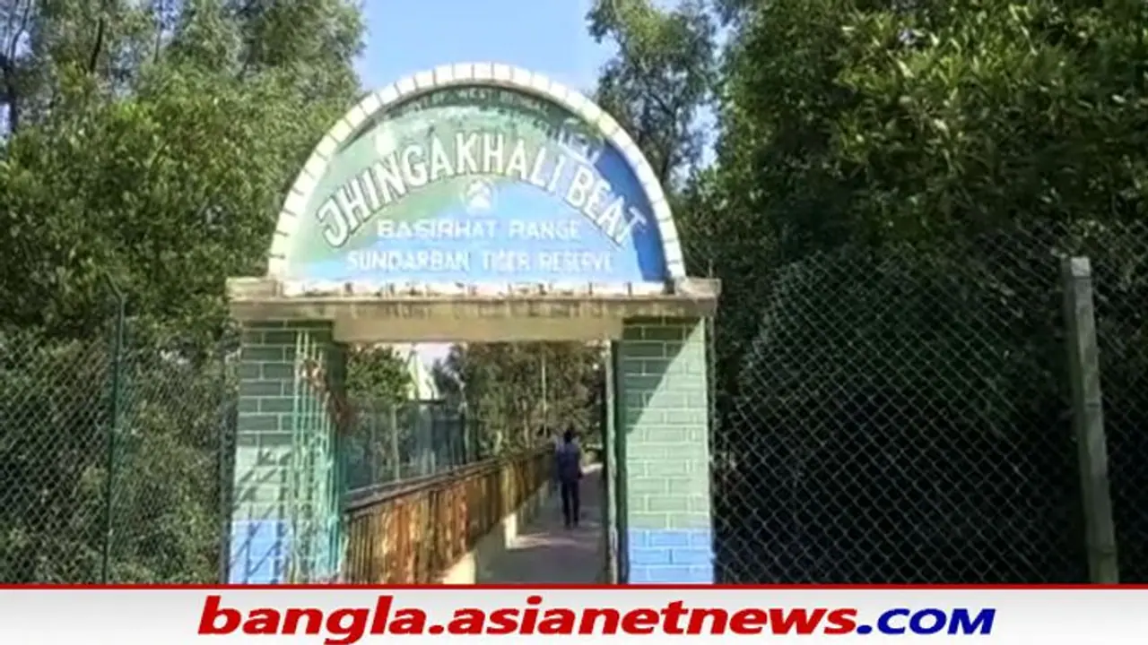 Sundarban Tiger: সুন্দরবনের জঙ্গলে মিষ্টি জলের অভাব, বাঘের তেষ্টা মেটাতে বড় উদ্যোগ বন দপ্তরের Sundarban Tiger: সুন্দরবনের জঙ্গলে মিষ্টি জলের অভাব, বাঘের তেষ্টা মেটাতে বড় উদ্যোগ বন দপ্তরের