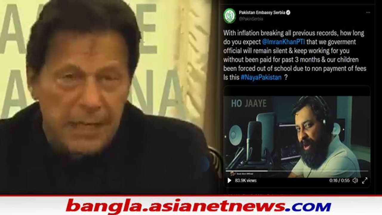 Pakistan: ৩ মাস ধরে মাইনে নেই, ইমরানের বিরুদ্ধে ক্ষোভ উগরে মিম পোস্ট সার্বিয়ার পাক দূতাবাসের Pakistan: ৩ মাস ধরে মাইনে নেই, ইমরানের বিরুদ্ধে ক্ষোভ উগরে মিম পোস্ট সার্বিয়ার পাক দূতাবাসের