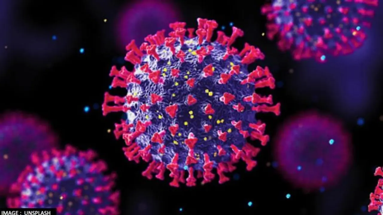 Omicron : രാജ്യ തലസ്ഥാനത്തും ഒമിക്രോൺ, ദില്ലിയിൽ ഒരാൾക്ക് സ്ഥിരീകരിച്ചു; രാജ്യത്തെ അഞ്ചാമത്തെ കേസ്