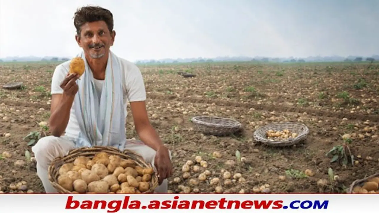 Farmers' Win: ফের ঐতিহাসিক জয় কৃষকদের, আর মামলার ভয় দেখাতে পারবে না বহুজাতিক সংস্থা Farmers' Win: ফের ঐতিহাসিক জয় কৃষকদের, আর মামলার ভয় দেখাতে পারবে না বহুজাতিক সংস্থা