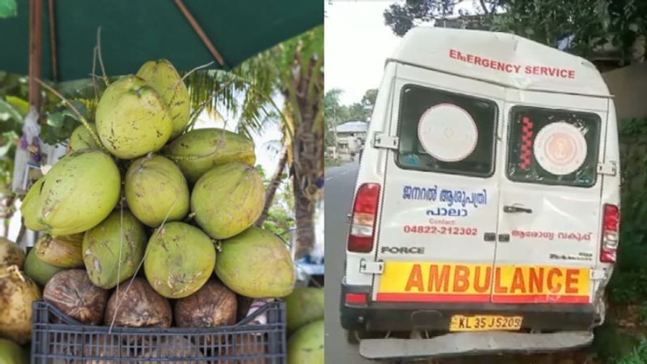 Accident : ഡ്രൈവര് കരിക്ക് കുടിക്കാനിറങ്ങി, കരിക്ക് കച്ചവടക്കാരന് ആംബുലൻസ് ഓടിക്കാന് നോക്കി; അപകടം Accident : ഡ്രൈവര് കരിക്ക് കുടിക്കാനിറങ്ങി, കരിക്ക് കച്ചവടക്കാരന് ആംബുലൻസ് ഓടിക്കാന് നോക്കി; അപകടം