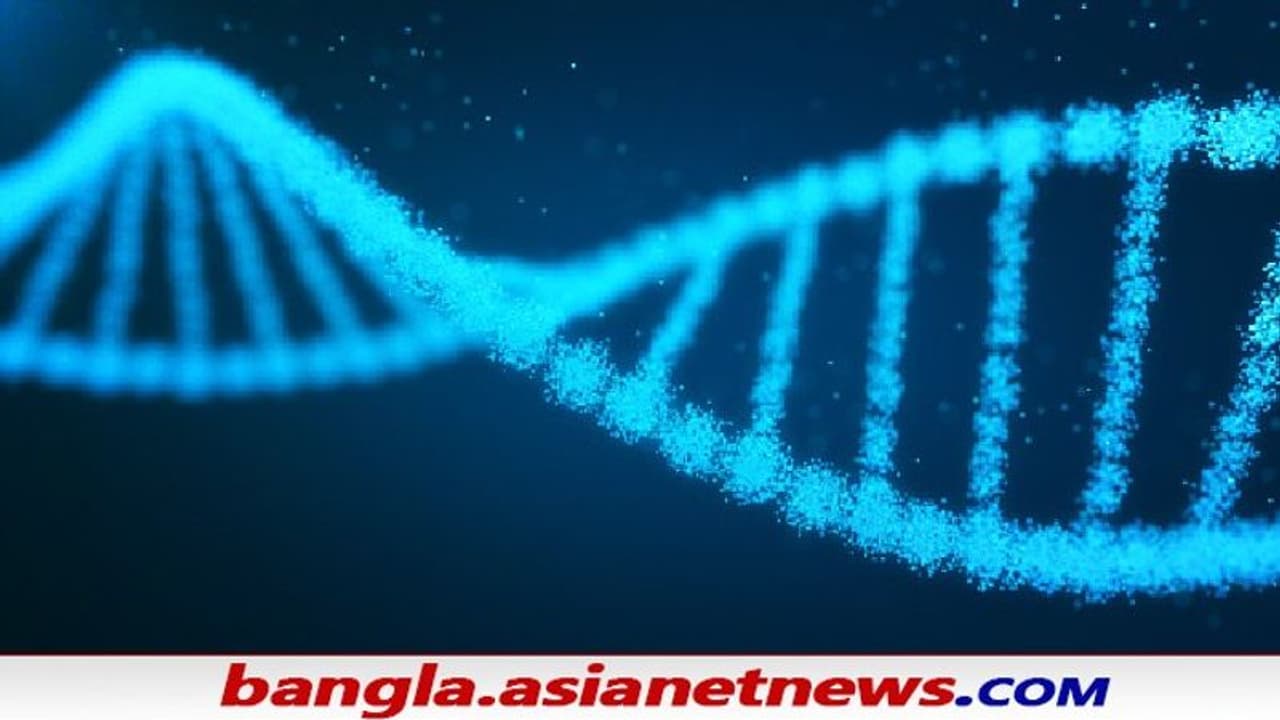 হাঁসখালিকাণ্ডে ডিএনএ কেই হাতিয়ার করল সিবিআই, ধৃত ও নির্যাতিতার পরিবারের নমুনা যাবে দিল্লিতে হাঁসখালিকাণ্ডে ডিএনএ কেই হাতিয়ার করল সিবিআই, ধৃত ও নির্যাতিতার পরিবারের নমুনা যাবে দিল্লিতে