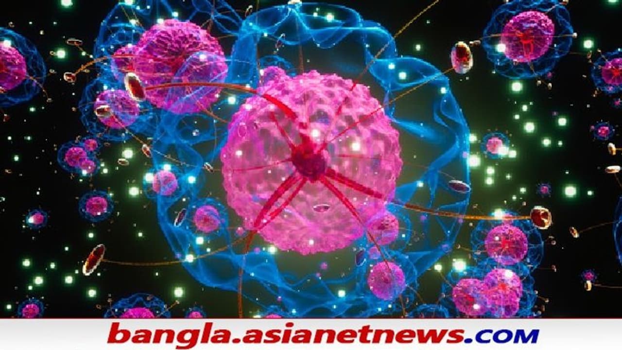 COVID 19 Vaccine: কোভিশিল্ড নিলে কেন কারোর কারোর রক্ত জমাট বেঁধে যাচ্ছে, কারণ খুঁজে পেলেন বিজ্ঞানীরা COVID 19 Vaccine: কোভিশিল্ড নিলে কেন কারোর কারোর রক্ত জমাট বেঁধে যাচ্ছে, কারণ খুঁজে পেলেন বিজ্ঞানীরা