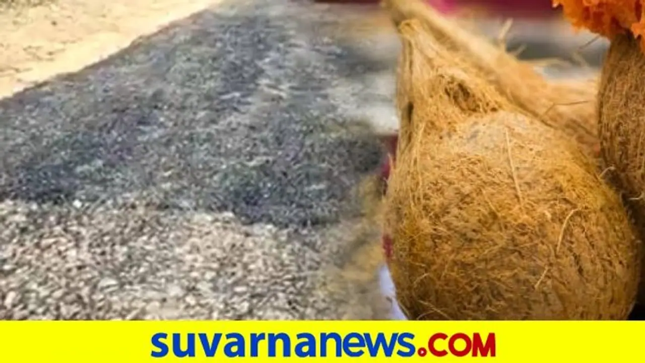 Newly Constructed Road Cracks: ಕಾಯಿ ಒಡೆದು ಉದ್ಘಾಟನೆ, ಒಡೆದದ್ದು ಹೊಸ ರಸ್ತೆ! Newly Constructed Road Cracks: ಕಾಯಿ ಒಡೆದು ಉದ್ಘಾಟನೆ, ಒಡೆದದ್ದು ಹೊಸ ರಸ್ತೆ!