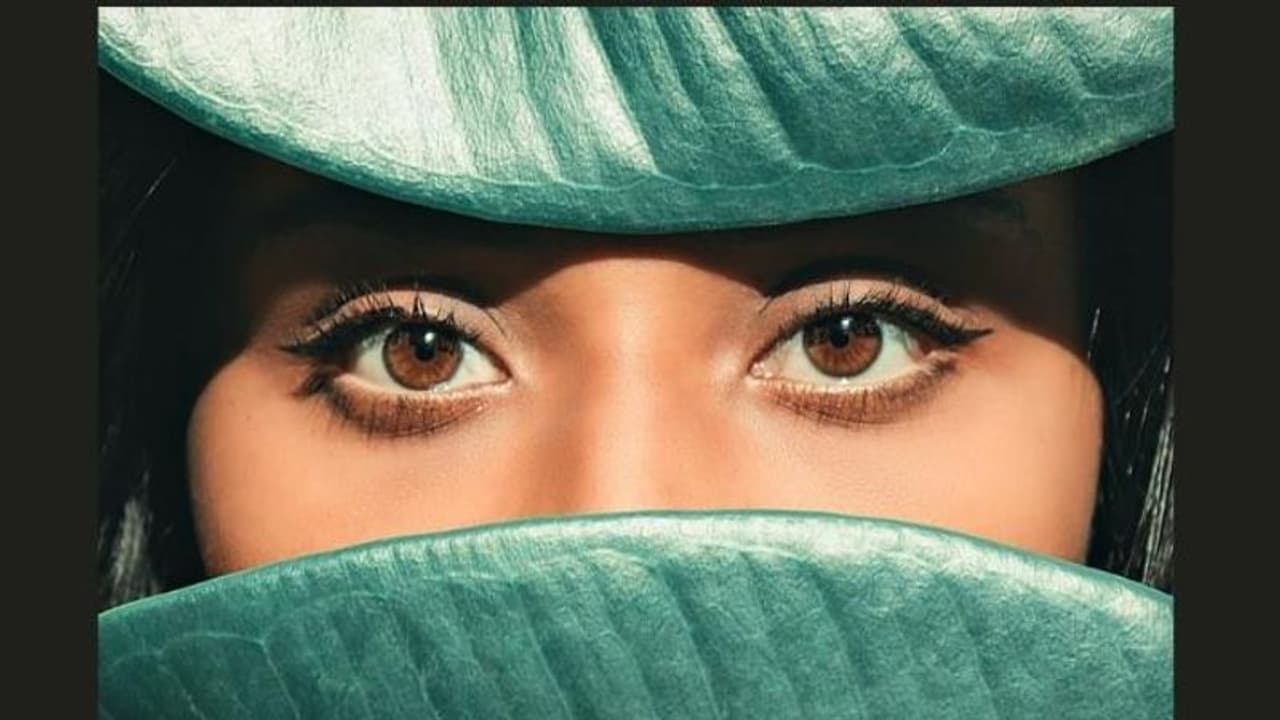 Makeup Tips: अगर आप भी चाहते हैं अपनी आंखों की खूबसूरती को बढ़ाना, तो इन टिप्स को जरूर करें फॉलो Makeup Tips: अगर आप भी चाहते हैं अपनी आंखों की खूबसूरती को बढ़ाना, तो इन टिप्स को जरूर करें फॉलो