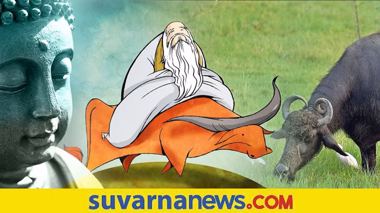 Zen Stories: ಜೆನ್ ಕತೆಗಳ ಜಗತ್ತು ಎಮ್ಮೆ ಒಳ ಹೋದರೂ ಬಾಲ ಹೊರಗೆ! Zen Stories: ಜೆನ್ ಕತೆಗಳ ಜಗತ್ತು ಎಮ್ಮೆ ಒಳ ಹೋದರೂ ಬಾಲ ಹೊರಗೆ!