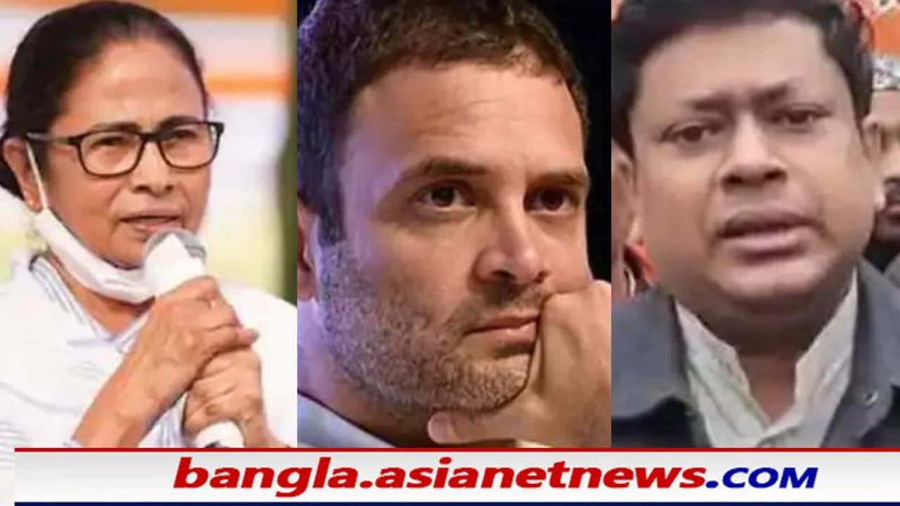 Farm Law: 'ধান গাছে চাল হয়, না কাঠ হয়, জানেন না রাহুল গান্ধী', কৃষক মৃত্যু ইস্যুতে তোপ সুকান্তের