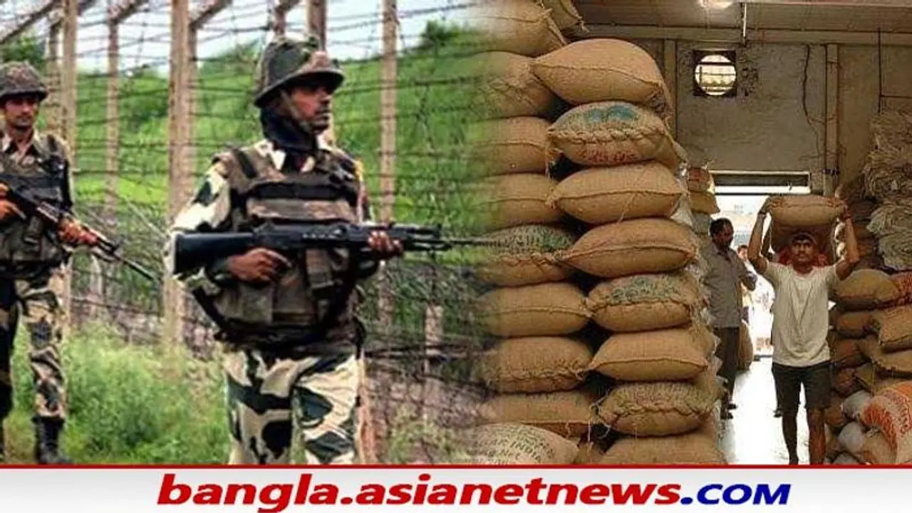 Rain Shelter: সীমান্ত এলাকায় চাষাবাদে জোর দিতে নয়া কর্মসূচি, তৈরি হচ্ছে আধুনিক ‘রেইন শেল্টার’