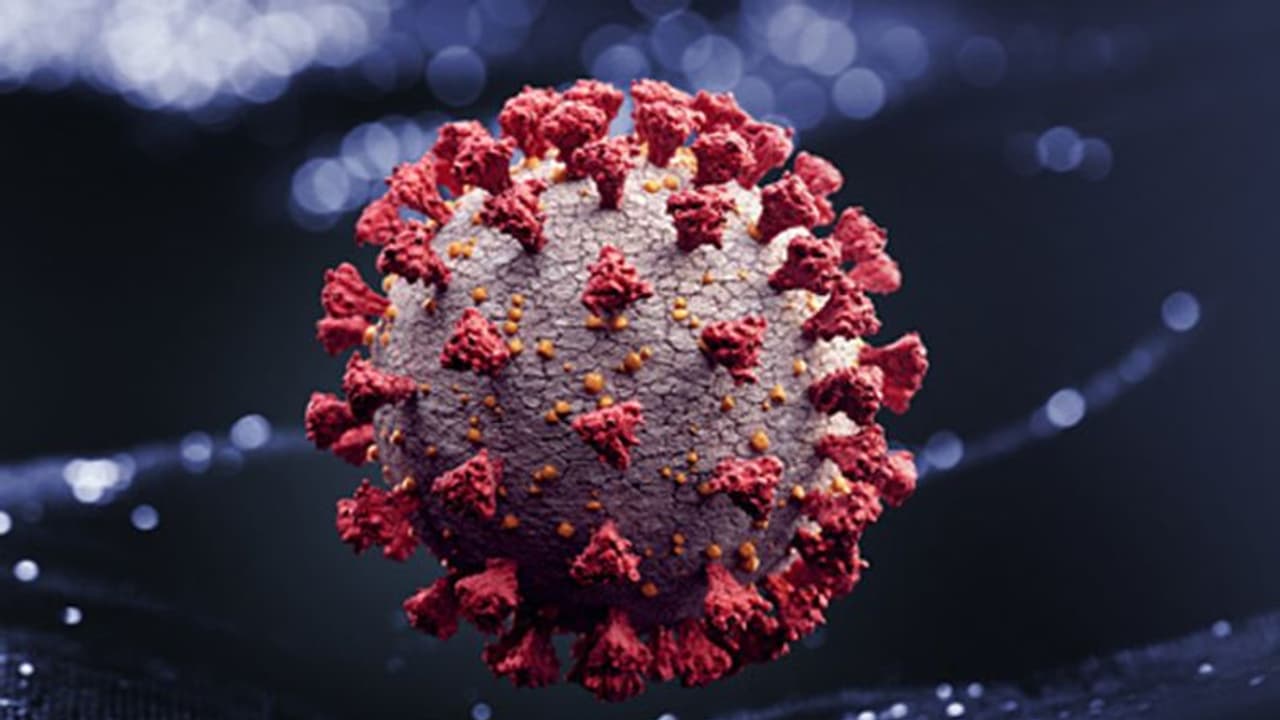 Omicron : മുംബൈയിൽ രണ്ട് പേർക്ക് കൂടി ഒമിക്രോൺ, മഹാരാഷ്ട്രയിൽ ആകെ 10 രോഗികൾ Omicron : മുംബൈയിൽ രണ്ട് പേർക്ക് കൂടി ഒമിക്രോൺ, മഹാരാഷ്ട്രയിൽ ആകെ 10 രോഗികൾ