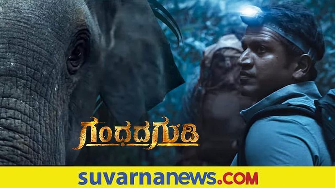 Gandhada Gudi Teaser: ಪುನೀತ್ ರಾಜ್‌ಕುಮಾರ್ ಕನಸು ನನಸಾಗಿಸಿದ ಪತ್ನಿ!