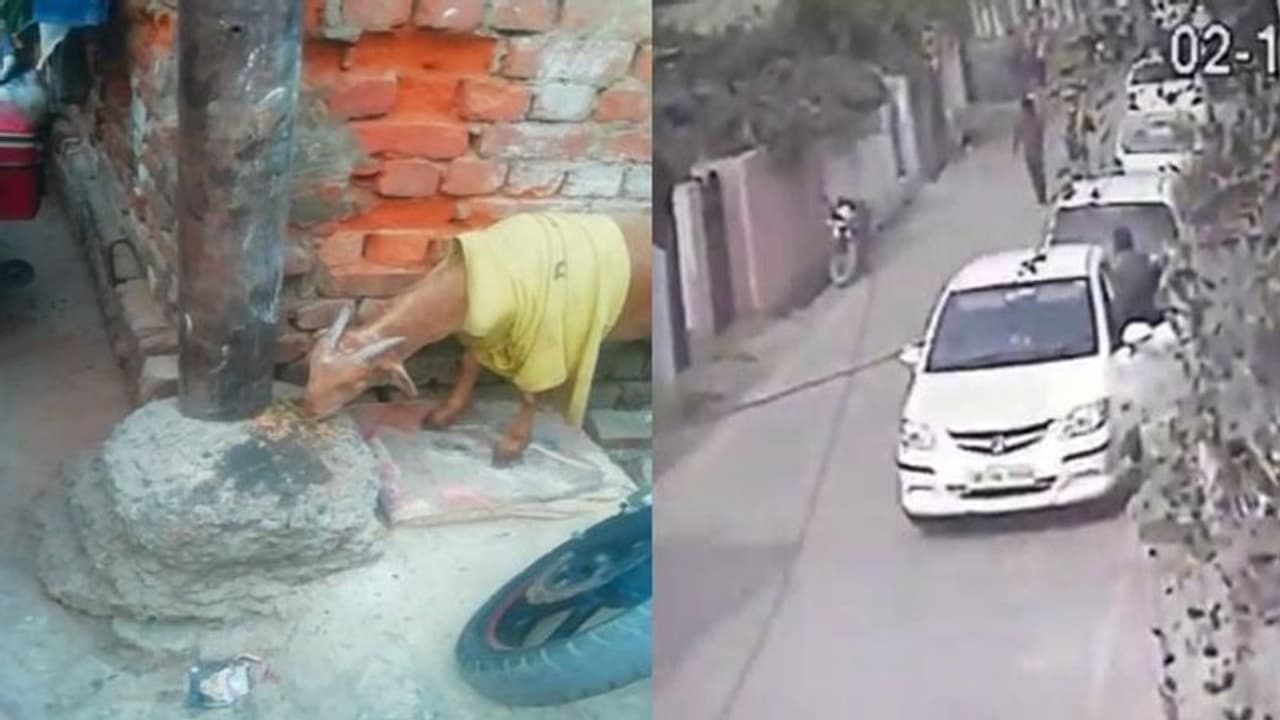 सुल्तानपुर: लग्जरी कार से आकर बकरियां उठाकर ले गए चोर, सीसीटीवी फुटेज में हुआ खुलासा, मामला दर्ज सुल्तानपुर: लग्जरी कार से आकर बकरियां उठाकर ले गए चोर, सीसीटीवी फुटेज में हुआ खुलासा, मामला दर्ज