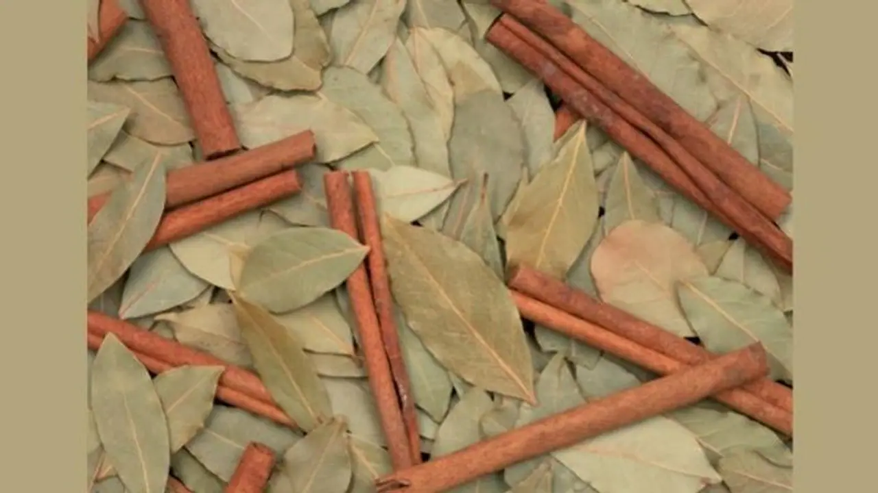 Health: तेजपत्ता और दालचीनी आपके लिए हो सकते हैं काफी फायदेमंद, जानें इसको इस्तेमाल करने का तरीका Health: तेजपत्ता और दालचीनी आपके लिए हो सकते हैं काफी फायदेमंद, जानें इसको इस्तेमाल करने का तरीका