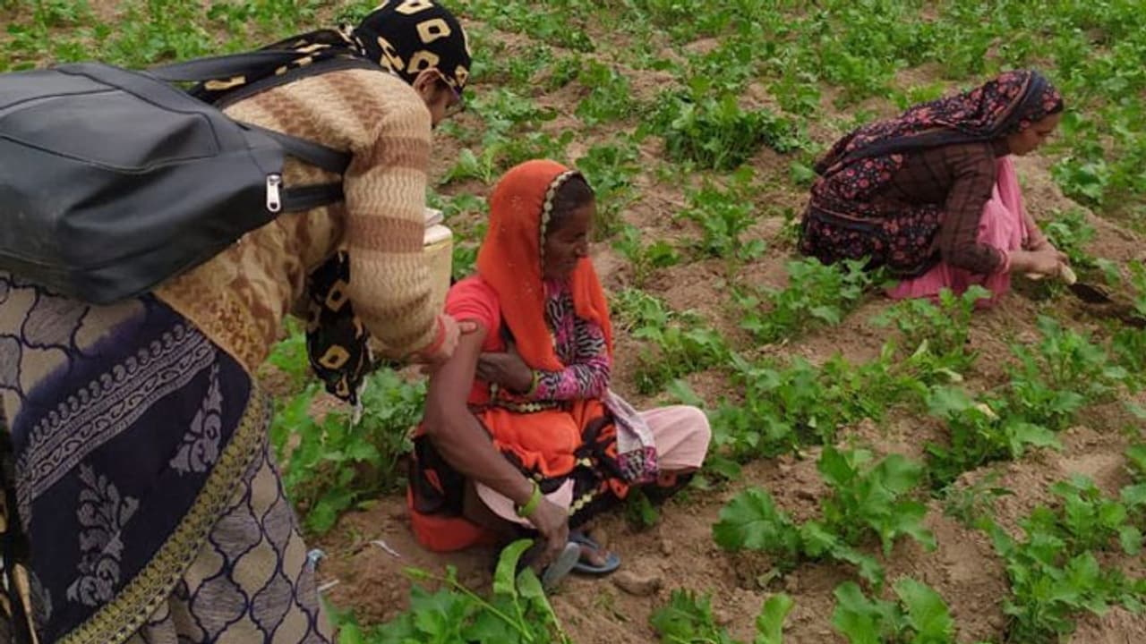 corona vaccination: ओमिक्रोन से निपटने बूस्टर डोज पर WHO करेगा मंथन; भारत में वैक्सीनेशन 128.76 Cr के पार