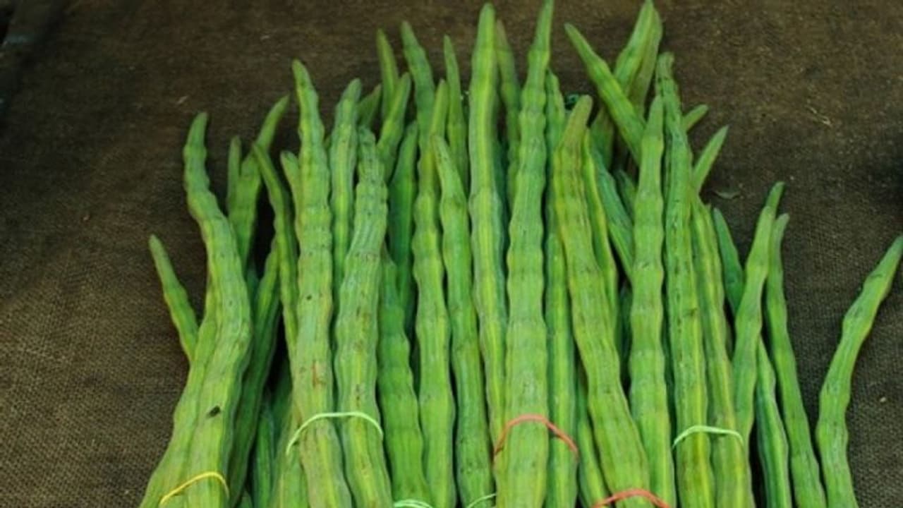 Vegetable Price Hike : முருங்கைக்காய் கிலோ 320 ரூபாய் !! கிடுகிடுவென உயரும் காய்கறி விலை.. Vegetable Price Hike : முருங்கைக்காய் கிலோ 320 ரூபாய் !! கிடுகிடுவென உயரும் காய்கறி விலை..