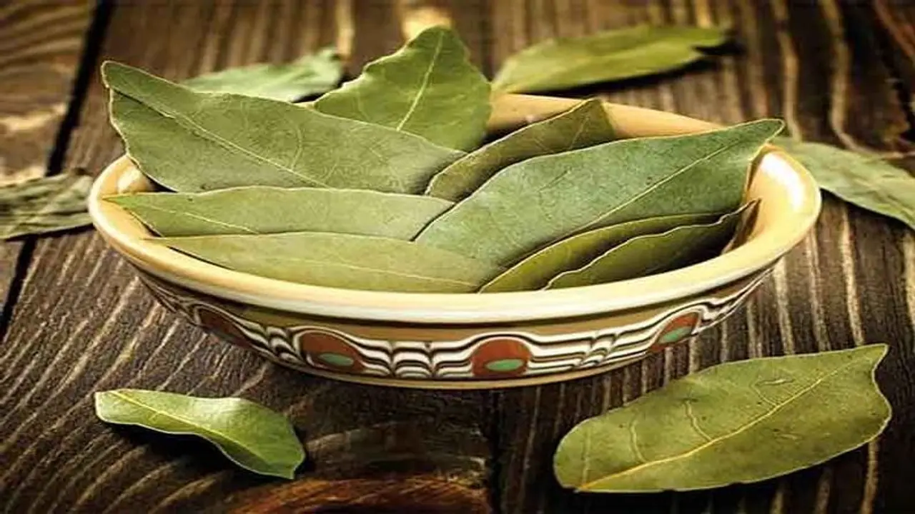 Bay leaves Bay leaves