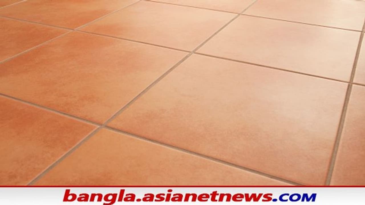 Vastu Tips: আর্থিক সঞ্চয় বৃদ্ধি করতে মার্বেল লাগান, দক্ষিণ মেঝেতে এক বিশেষ মার্বেল আর্থিক উন্নতি ঘটাবে Vastu Tips: আর্থিক সঞ্চয় বৃদ্ধি করতে মার্বেল লাগান, দক্ষিণ মেঝেতে এক বিশেষ মার্বেল আর্থিক উন্নতি ঘটাবে