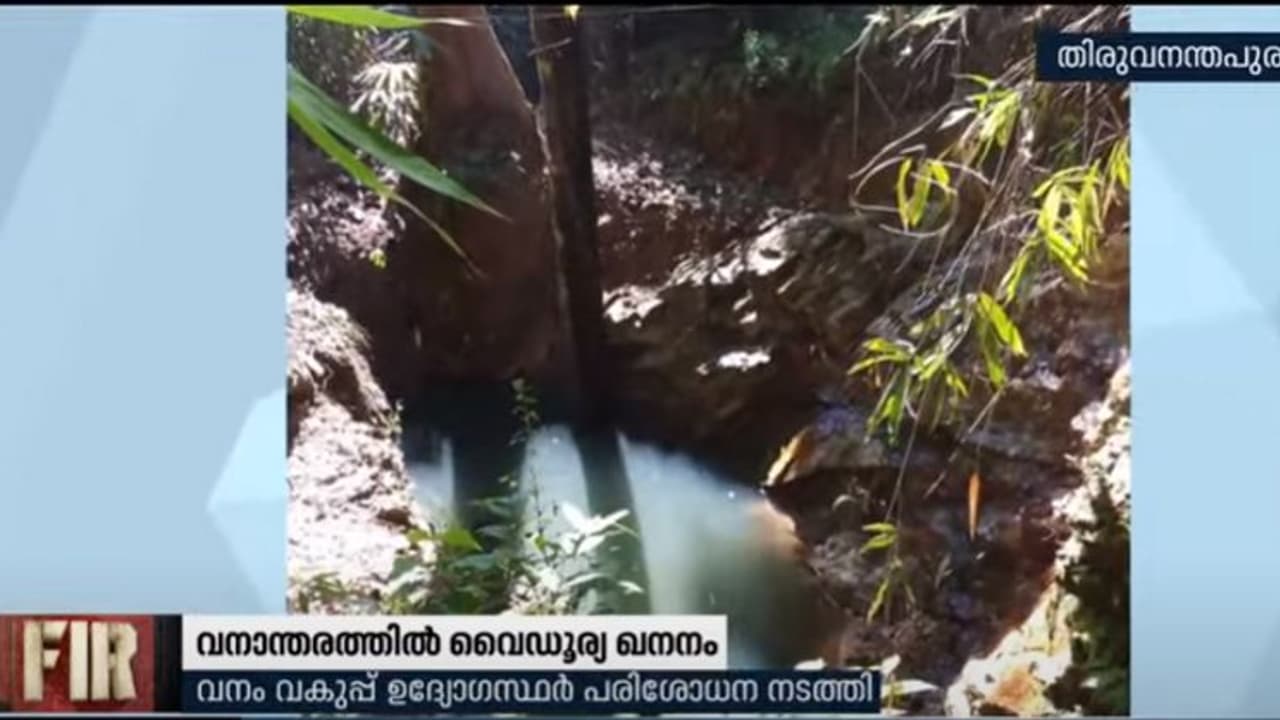 പാലോട് വനാന്തരത്തില് വൈഡൂര്യ ഖനനം നടന്നു; പ്രതികളെ പിടിക്കാന് വനം വകുപ്പ് പാലോട് വനാന്തരത്തില് വൈഡൂര്യ ഖനനം നടന്നു; പ്രതികളെ പിടിക്കാന് വനം വകുപ്പ്