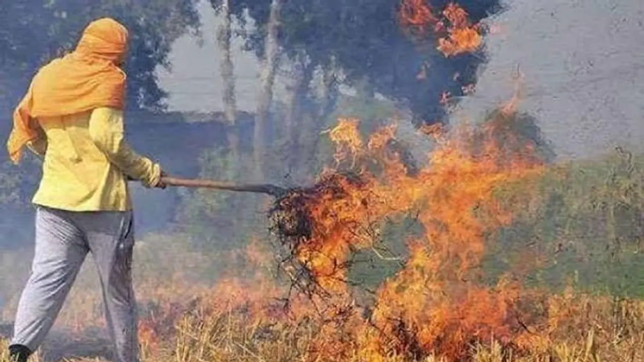 Will take 4 5 years to resolve stubble burning issue: Punjab pollution control body