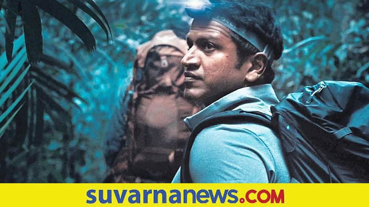 Gandhada Gudi: ಟೀಸರ್‌ಗೆ ಒಂದೇ ದಿನ 30 ಲಕ್ಷ ವ್ಯೂ, ಒಂದೇ ಒಂದು ಡಿಸ್‌ಲೈಕ್ ಇಲ್ಲ