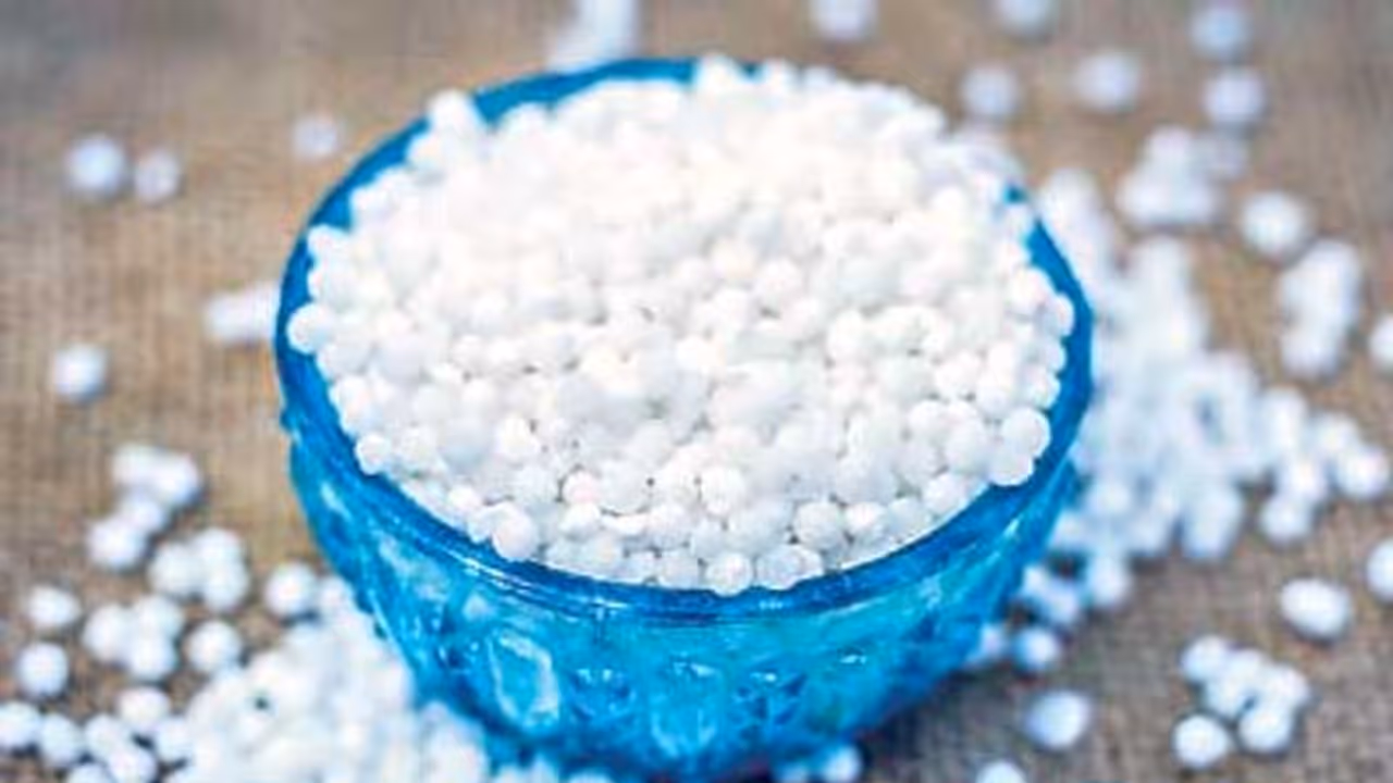 sago saboodana sago saboodana