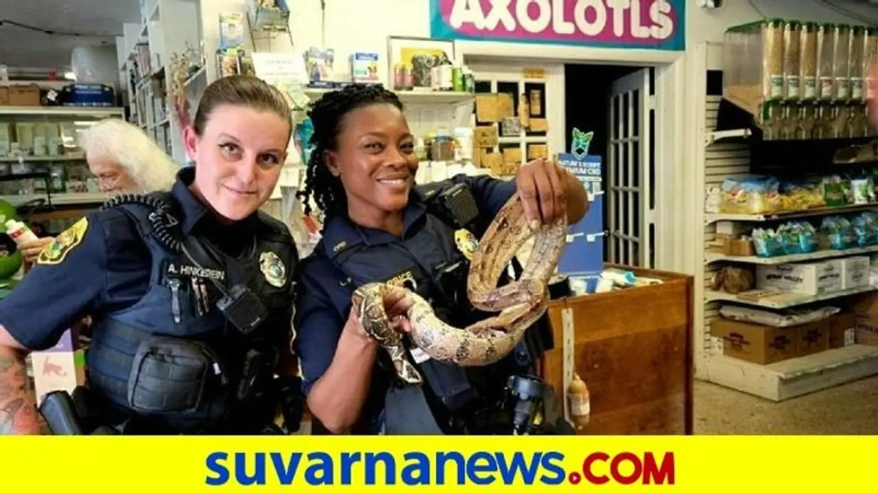 snake in sofa: ಹೊಸ ಸೋಫಾ ಮನೆಗೆ ತಂದವನಿಗೆ ಶಾಕ್... snake in sofa: ಹೊಸ ಸೋಫಾ ಮನೆಗೆ ತಂದವನಿಗೆ ಶಾಕ್...