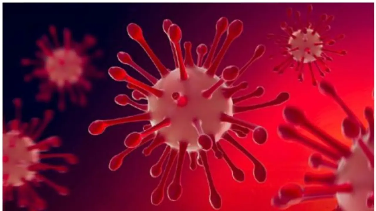 Omicron : കൊവി‍ഡ് വന്ന് പോയവരിൽ ഒമിക്രോൺ ബാധിക്കാം, നേരിയ ലക്ഷണങ്ങൾ മാത്രം പ്രകടമാകും; ലോകാരോഗ്യ സംഘടന