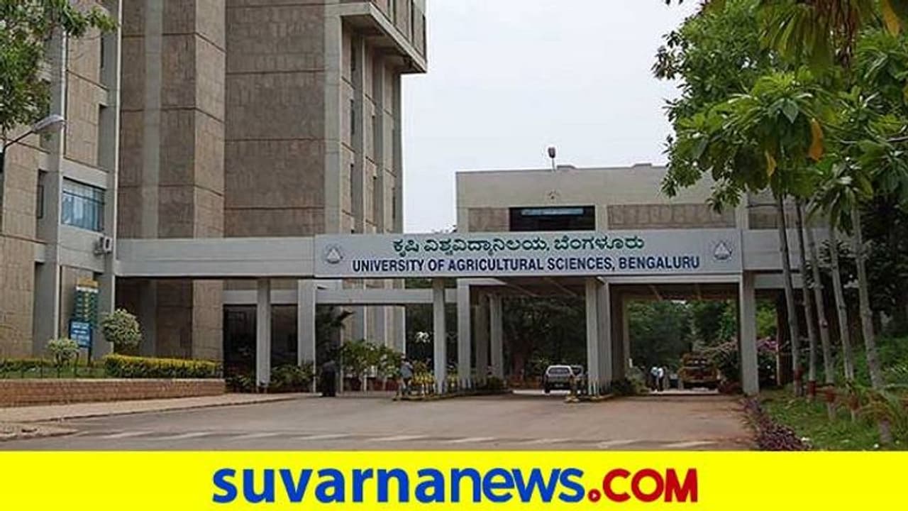 Education: ಬೆಂಗಳೂರು ಕೃಷಿ ವಿವಿಗೆ ದೇಶದಲ್ಲೇ 3ನೇ ಸ್ಥಾನ Education: ಬೆಂಗಳೂರು ಕೃಷಿ ವಿವಿಗೆ ದೇಶದಲ್ಲೇ 3ನೇ ಸ್ಥಾನ
