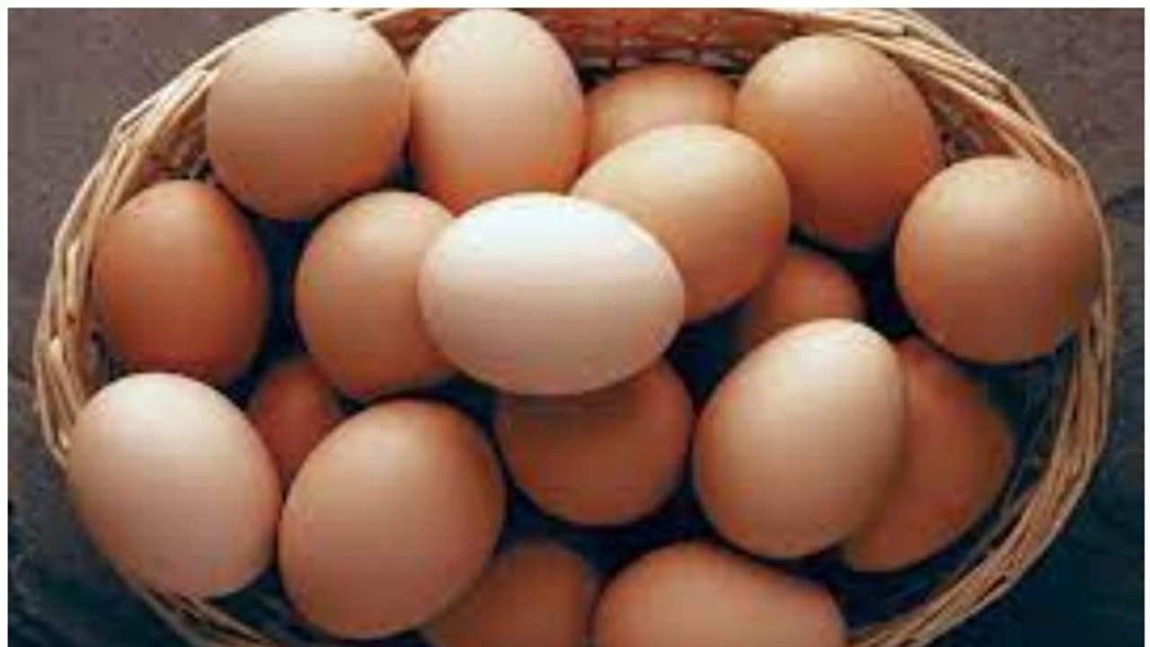 প্রচন্ড গরমে ফ্রিজে রাখার পরও ডিম খারাপ হয়ে যাচ্ছে? জানুন কিনে আনার পর কতক্ষণ ভালো থাকে