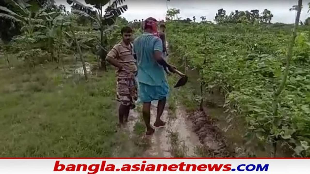 Farmers of WB: নিম্নচাপের ভ্রকূটি কেটে সূর্যের দেখা মিলতেই জমা জলে ফসলের পচন শুরু, মাথায় হাত কৃষকদের Farmers of WB: নিম্নচাপের ভ্রকূটি কেটে সূর্যের দেখা মিলতেই জমা জলে ফসলের পচন শুরু, মাথায় হাত কৃষকদের