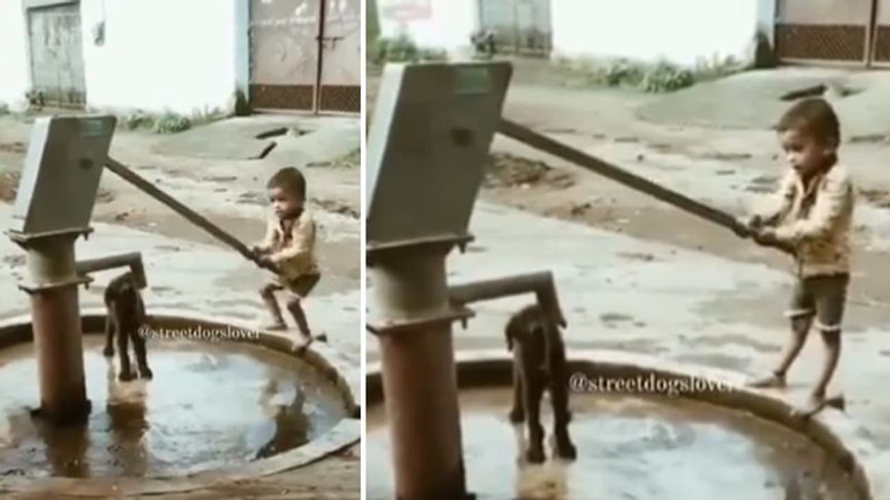 Viral Video : ആരെയും കീഴടക്കും ഈ കുഞ്ഞുമനസ്; വൈറലായ വീഡിയോ