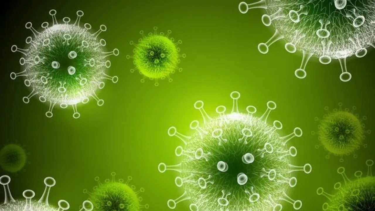 Omicron : ഈ പ്രായത്തിലുള്ളവരെ ഒമിക്രോൺ ബാധിക്കാനുള്ള സാധ്യത കൂടുതലാണെന്ന് വിദ​ഗ്ധർ