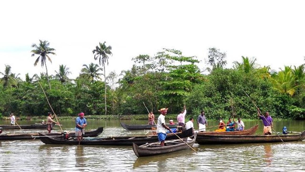 വേമ്പനാട് കായലിൽ കക്ക പുനരുജ്ജീവന പദ്ധതി, പ്രതിദിനം 10 ടൺ വിളവെടുപ്പ്, പദ്ധതി വിജയമെന്ന് സിഎംഎഫ്ആർഐ