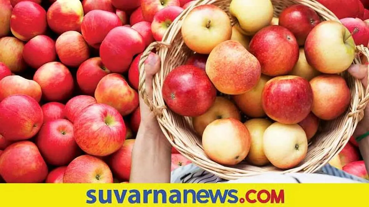 Kitchen Tips : ಸೇಬು ಸಿಪ್ಪೆ ಕಸಕ್ಕೆ ಹಾಕುವ ಬದಲು ಅದನ್ನು ಹೀಗೆ ಬಳಸಿ Kitchen Tips : ಸೇಬು ಸಿಪ್ಪೆ ಕಸಕ್ಕೆ ಹಾಕುವ ಬದಲು ಅದನ್ನು ಹೀಗೆ ಬಳಸಿ