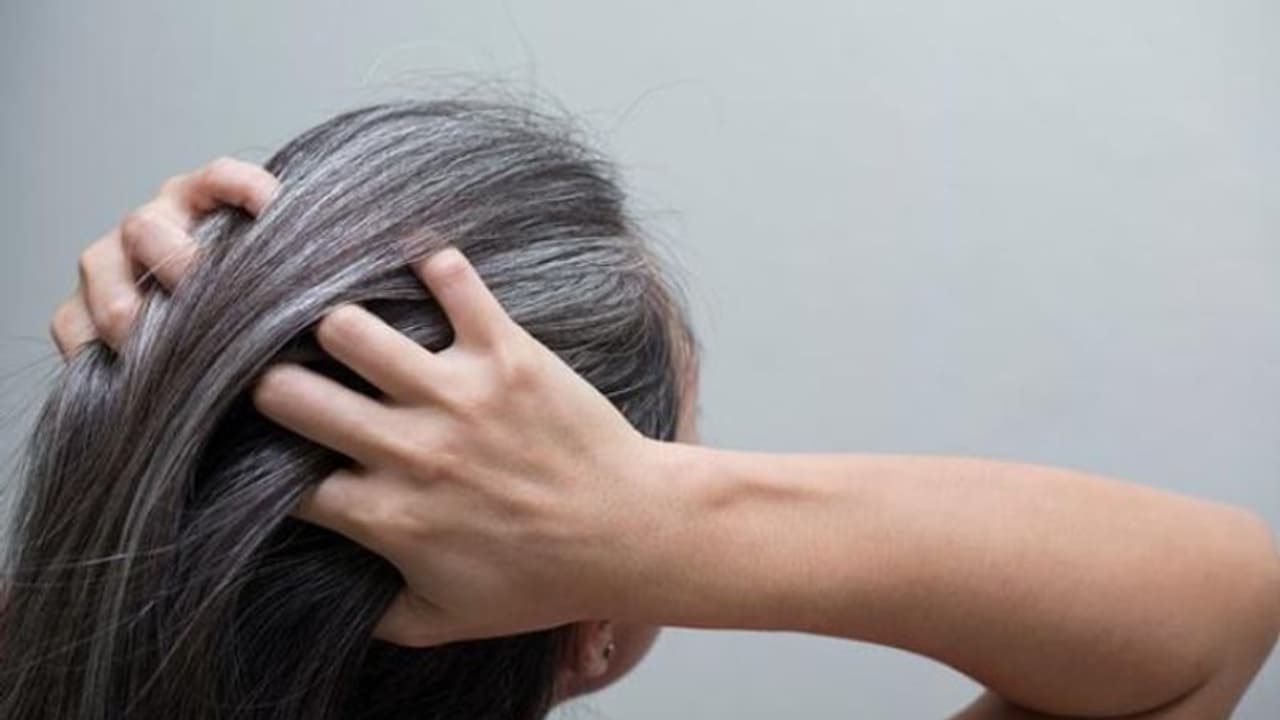 Hair Care : അകാലനര അകറ്റാം; പരീക്ഷിക്കാം ചില സിംപിൾ ടിപ്സ്...