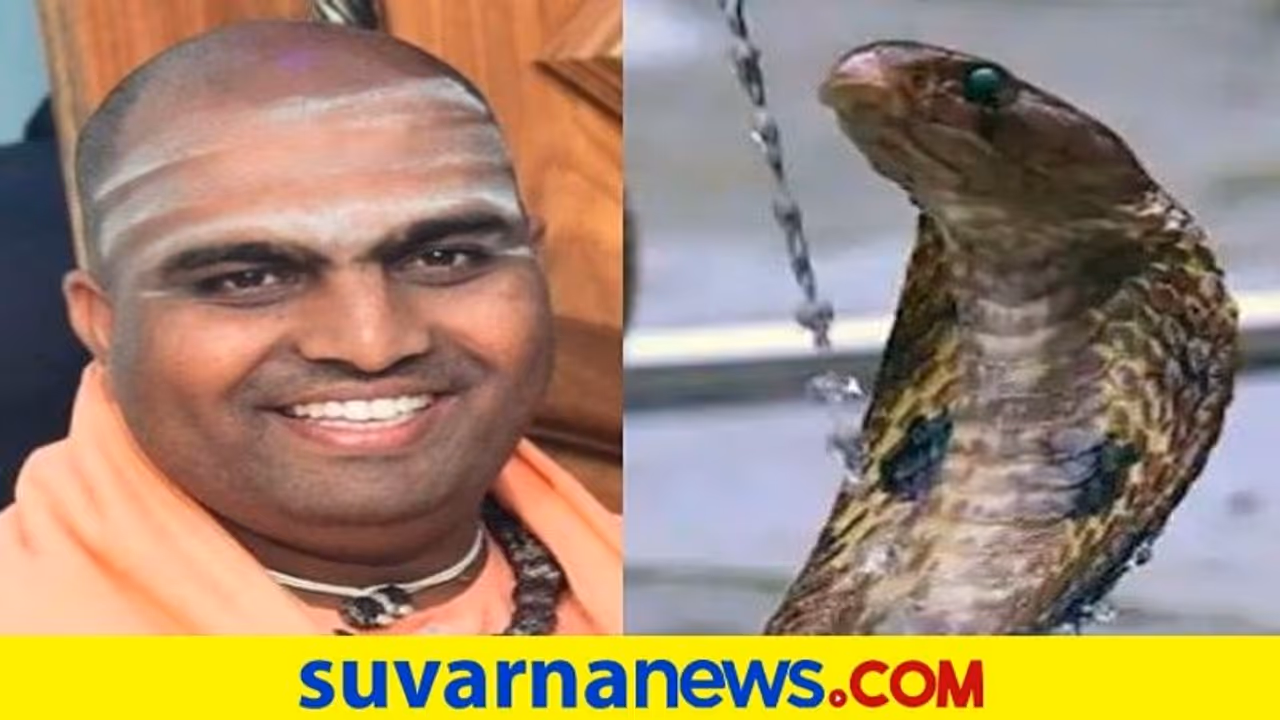 Snake Bite: ಹಾವು ಕಚ್ಚಿ ಇಮ್ಮಡಿ ಗುರುಮಲ್ಲ ಸ್ವಾಮೀಜಿ ಸಾವು Snake Bite: ಹಾವು ಕಚ್ಚಿ ಇಮ್ಮಡಿ ಗುರುಮಲ್ಲ ಸ್ವಾಮೀಜಿ ಸಾವು