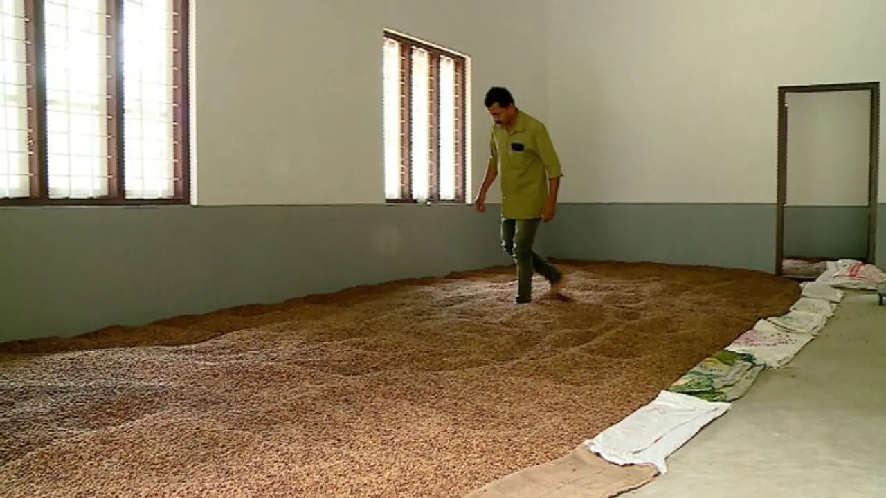 Sandalwood : ചന്ദനത്തിന് മാത്രമല്ല ചന്ദന വിത്തിനും വന് ഡിമാന്ഡ്; 1 കോടിയുടെ വില്പന ലക്ഷ്യമിട്ട് വനംവകുപ്പ് Sandalwood : ചന്ദനത്തിന് മാത്രമല്ല ചന്ദന വിത്തിനും വന് ഡിമാന്ഡ്; 1 കോടിയുടെ വില്പന ലക്ഷ്യമിട്ട് വനംവകുപ്പ്