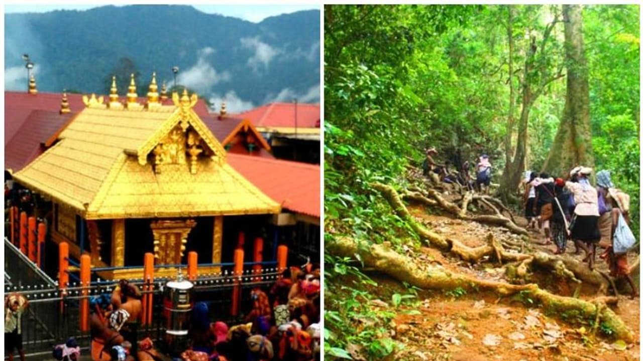 Sabarimala : ശബരിമല കരിമല പാത മകരവിളക്കിന് മുമ്പ് തുറന്നേക്കും, തീര്‍ത്ഥാടക എണ്ണമുയർത്തുന്നതും പരിഗണനയിൽ