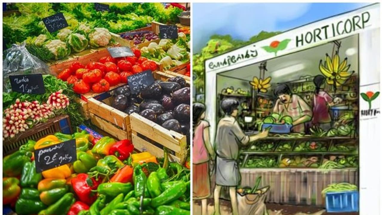 കർഷകർക്ക് ആശ്വാസവുമായി ഹോർട്ടികോർപ്, വിൽക്കുന്ന പച്ചക്കറിയുടെ ബിൽ എത്തിച്ചാൽ ബാങ്ക് വഴി പണം നൽകും