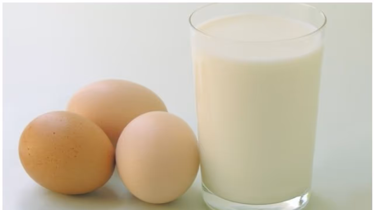 അങ്കണവാടി കുട്ടികൾക്ക് ഇനി മുതൽ പാലും മുട്ടയും; 61.5 കോടിയുടെ പദ്ധതിയുടെ ഉദ്ഘാടനം മറ്റന്നാൾ അങ്കണവാടി കുട്ടികൾക്ക് ഇനി മുതൽ പാലും മുട്ടയും; 61.5 കോടിയുടെ പദ്ധതിയുടെ ഉദ്ഘാടനം മറ്റന്നാൾ