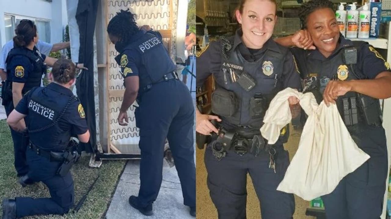 Viral Post : പുത്തന്‍ സോഫയിൽ പതുങ്ങിയിരുന്ന അതിഥിയെ കണ്ട് ഭയന്ന് ഉടമ!